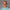05-community-thumbnail_1