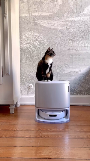 393678DC-6103-4f21-99E9-4A98A0C48CAA