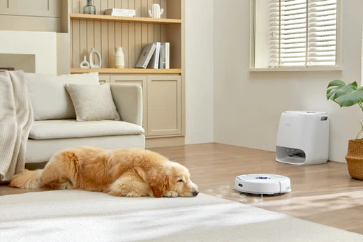 Clean Efficiently With the Narwal Robot Vacuum