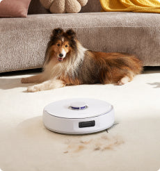 0415b6355171a7c2dd2743c6834f9129