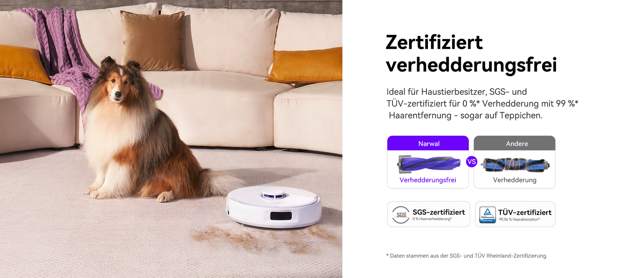 3_f3c64c8a-0489-4442-9405-d526775c89c5