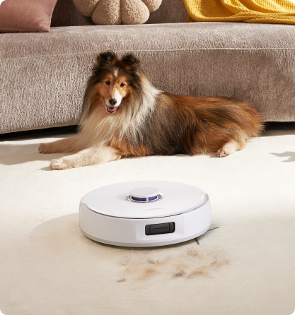 pc_adf027b8-1dc5-442f-bd93-ea18cf8ef589